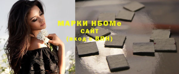 ПСИЛОЦИБИНОВЫЕ ГРИБЫ Арсеньев