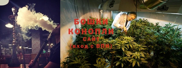 трава Балахна