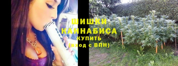 мдма Новозыбков