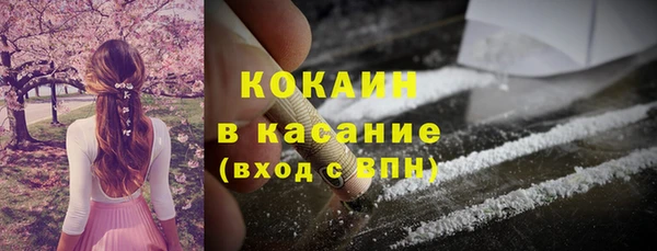 ПСИЛОЦИБИНОВЫЕ ГРИБЫ Арсеньев