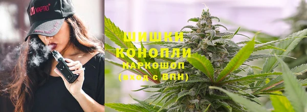PSILOCYBIN Армянск